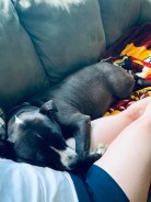 20190620_210126318_iOS